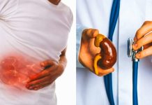 Kidney Care: কিডনির যত্ন নেবেন কীভাবে? কী খাবেন ও কী খাবেন না? শুনুন ফিটনেস কোচ রুবিনা মল্লিকের পরামর্শ Kidney Care