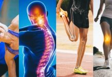 Bone Health Natural: হাড় মানবদেহের পরিকাঠামো! জানুন হাড় সুস্থ রাখার বিষয়ে ফিটনেস কোচ রুবিনা মল্লিকের পরামর্শ Bone Health Natural